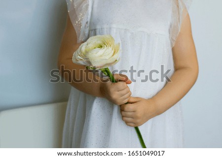 

Little girl holding a ranunculus flower in her hands. Greeting card for wedding, International Women's Day.