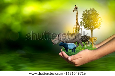 Wildlife Conservation Day Wild animals to the home. Or wildlife protection Royalty-Free Stock Photo #1651049716