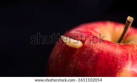 Worm peeks out of red apple