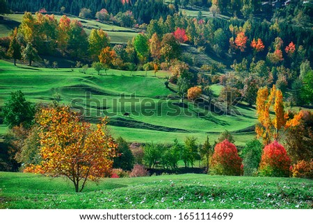 The most beautiful colors of autumn in Savsat Artvin Royalty-Free Stock Photo #1651114699