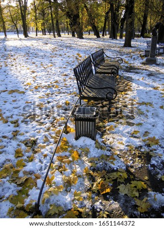 Landscape with park benches in autumn park on frosty sunny day