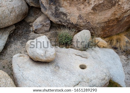 USA, California, San Bernardino County, Joshua Tree National Park. A mortar for grinding with a pestle embedded in a granite boulder. Also known as a mono and matate.