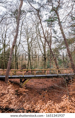 Nature park Zeisterbos around Hertenkamp in Zeist, Netherlands