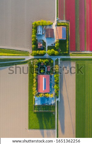 Breathtaking Aerial View of Colorful Tulip Fields in Dronten, Netherlands