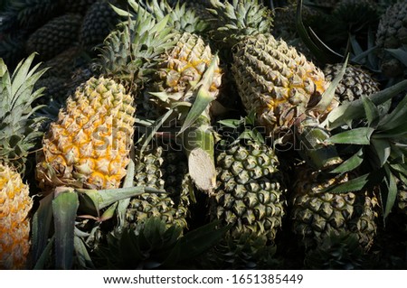 Fresh pineapple, dark background, selective focus                              