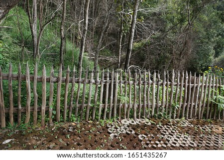 Bamboo fence used in rural Thailand