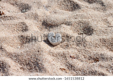 Old heart shaped foam that was left on the sand In the heat of the sun.