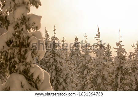winter landscape in the austrian alps near schladming