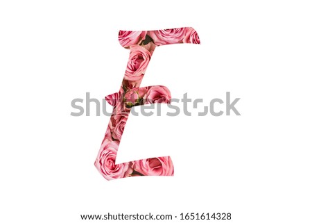 The letter E of the English alphabet is cut out of pink roses on a white isolated background.Floral pattern, texture. 