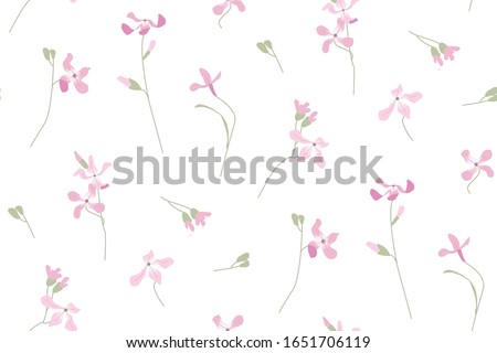 Pink matthiola. Delicate garden flowers. Summer bouquet. Botanical illustration Floral pattern. Floristry