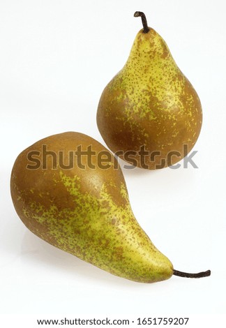 Conference Pear, pyrus communis, Fruits against White Background 