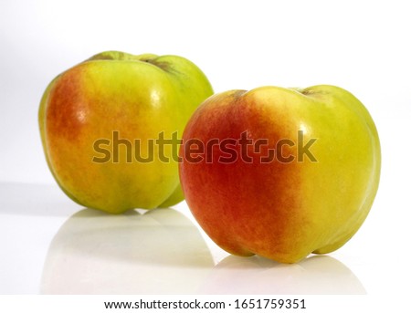 Calville Apple, malus domestica, Fruits against White Background 