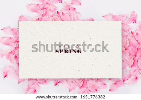Early spring blooming cherry background