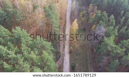 Aerial photography country road between the Avenue of trees autumn forest countryside