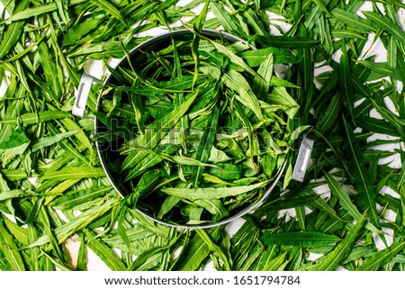 Green leaves background. Natural background and wallpaper. Casserole with leaves.