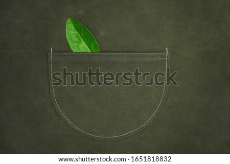 Green leaf and leather bag with thread stitch pattern. Representing a natural job in defense of a green environment