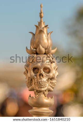 Golden skull with a mysterious dimension