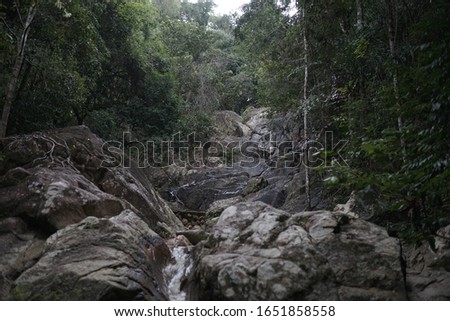 Jungle in thailand with a waterfall that sticks in a creek. Nature
