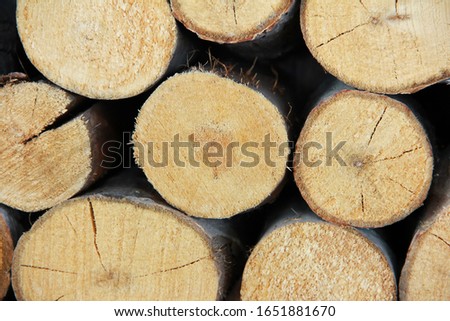 round natural tree trunk cut with cracks and a sawdust