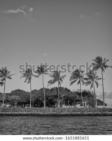 Oceanview of a Tropical Shoreline.  Idyllic scene of tropical sky and palm trees on the seashore.