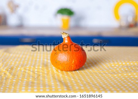 Solar pumpkin in kitchen on table. Organic food and healthy food concept. Autumn orange pumpkin against white wall kitchen. Thanksgiving and Halloween. holiday decoration. Autumn cozy home still life.