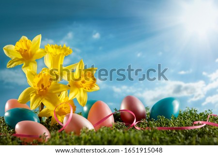 Easter background and free space for your decoration.Sunny spring time 