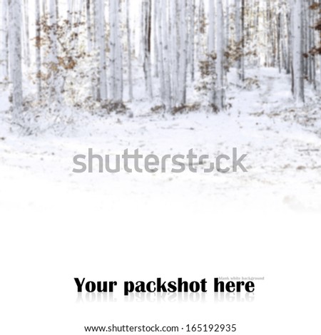 snow and forest 