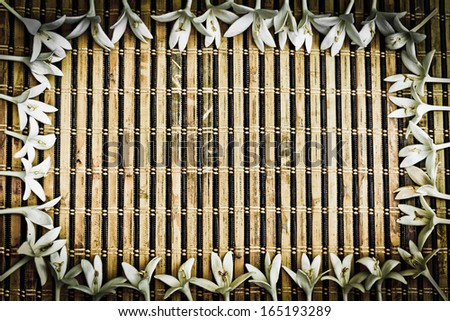 wood texture background with white flowers frame