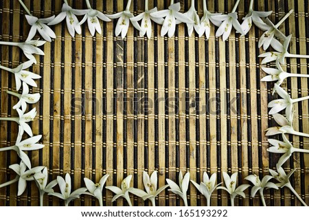 wooden texture background with white flowers frame