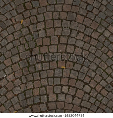 Photograph showing a cobblestone floor in detail.