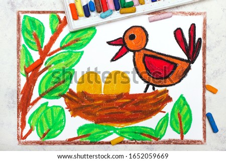 Photo of colorful drawing:  cute bird and nest with two eggs inside. 