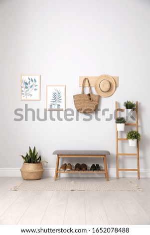 Beautiful plants and comfortable bench near white wall at home. Idea for interior design