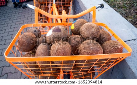The seller of coconuts. Bicycle with a basket full of coconuts.