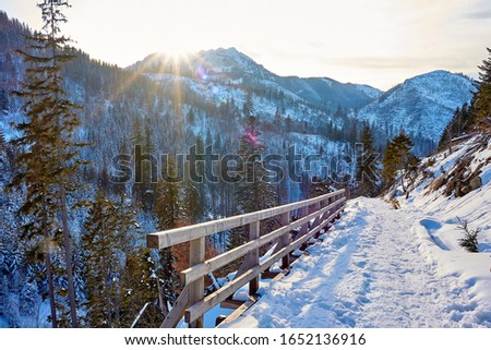 Wooden bridge on mountain trail towards Kościeliska Valley from Przysłop Miętusi Mountain Pass in Tatra Mountains, Poland