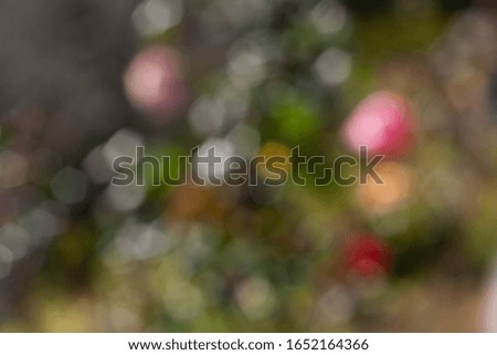 Abstract bokeh background. Colorful background with de focused lights.