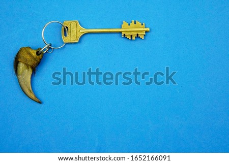        claw of a bear on a keychain on a blue background                        