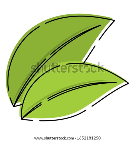 Isolated leaves icon. Spring season - Vector illustration