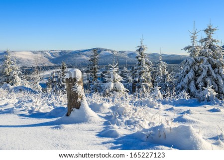 Winter landscape after fresh snowfall in High Tatra Mountains near Rusinowa Polana, Poland