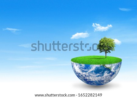 Ecology and Environment Concept : Green tree growth on blue planet earth with blue sky and white clouds in background. (Elements of this image furnished by NASA.)