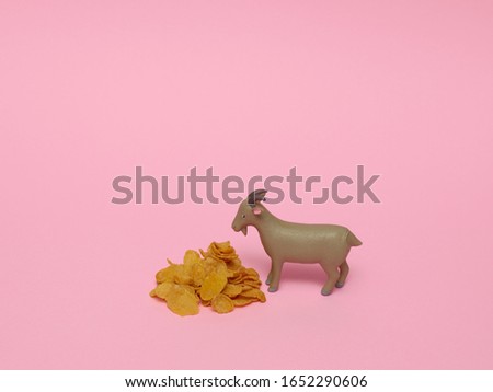 Goat standing next to some breakfast cereal on a pink background. Minimal concept.