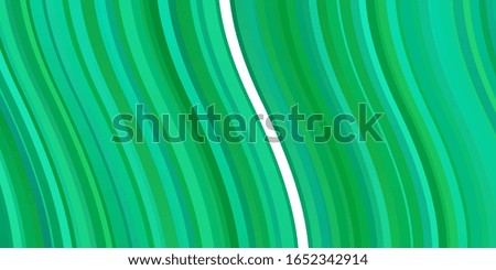 Light Green vector background with bows. Bright sample with colorful bent lines, shapes. Design for your business promotion.