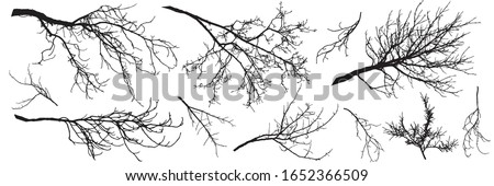 Autumn branches of trees, silhouettes of bare branches. Vector illustration. Royalty-Free Stock Photo #1652366509