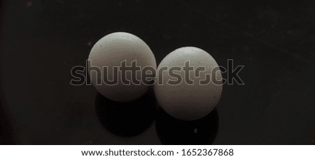 Photo of a small reptile egg   