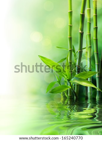 bamboo stalks on water - blurs 