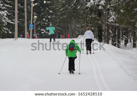 People skiing in the background of a winter forest landscape, active recreation, lifestyle. Stock photo for web, print and background, with empty space for text and design