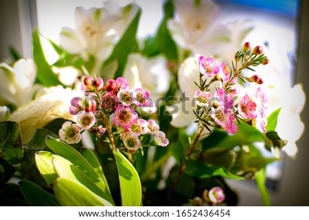  Beautiful bouquet of pink and white flowers on the table is great for decoration
