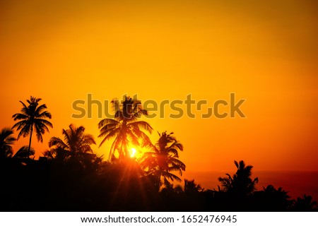 Coconut palm trees against bright orange sunset sky. Tropic paradise concept.
