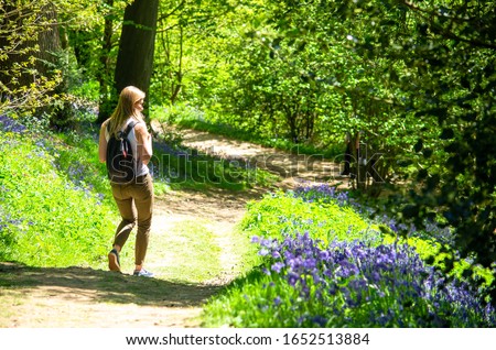 Woman walking in the woods as bluebells bloom in spring. Photo taken at Sevenoaks in Kent, England Royalty-Free Stock Photo #1652513884