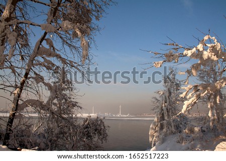 
Sunset Dawn. Winter nature sunset tree silhouette. Winter sunset tree snow patterns. Dense fog over the river in winter. Sunrise in the thick winter fog. landscape Trees with snow in a park.