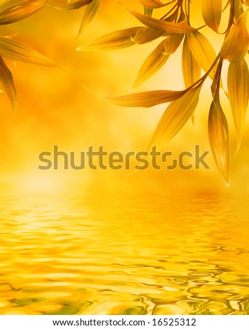 Golden leaves reflected in water